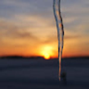 Meet your Posher, Brock